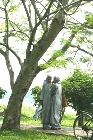 Theo chân sư cô, sư thầy đi thi tốt nghiệp THPT - 7