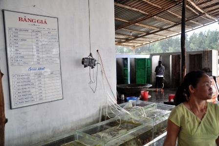  "Chặt chém" du khách tại bãi biển Thuận An - 1