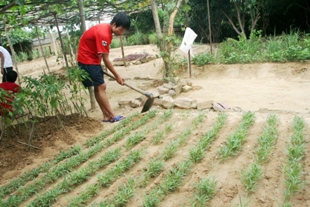 Câu chuyện cảm động về 7 học trò nghèo cùng thi đậu ĐH, CĐ - 6