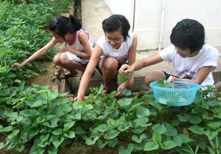 Câu chuyện cảm động về 7 học trò nghèo cùng thi đậu ĐH, CĐ - 4