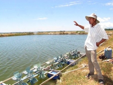 Đề nghị cách chức Chủ tịch Hội Nông dân nuôi tôm trái phép - 1 Đề nghị cách chức Chủ tịch Hội Nông dân nuôi tôm trái phép - 1