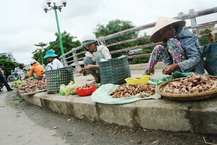 Mùa nấm tràm trên đường phố Huế - 2