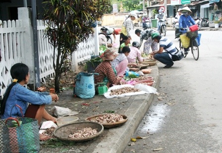 Mùa nấm tràm trên đường phố Huế - 3