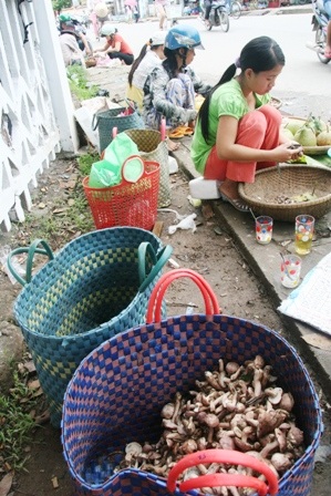 Mùa nấm tràm trên đường phố Huế - 5