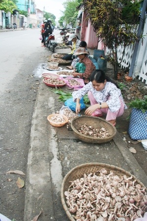 Mùa nấm tràm trên đường phố Huế - 9