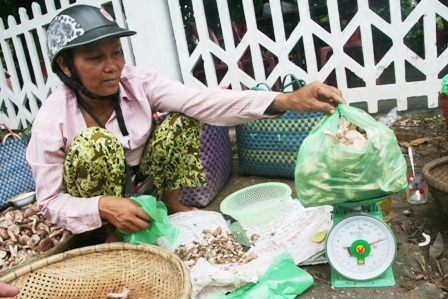 Mùa nấm tràm trên đường phố Huế - 10