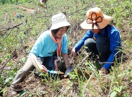 Tình nguyện viên Việt Nam - Nhật Bản trồng rừng giao lưu - 3
