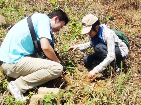 Tình nguyện viên Việt Nam - Nhật Bản trồng rừng giao lưu - 2