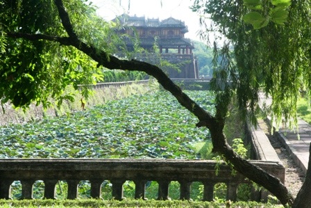 Quyến rũ mùa sen Cố đô  - 10