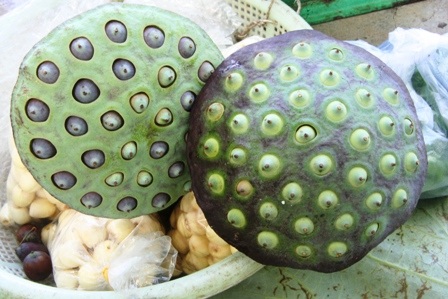 Quyến rũ mùa sen Cố đô  - 15