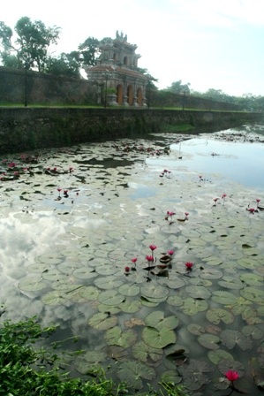 Quyến rũ mùa sen Cố đô  - 11