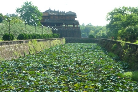 Quyến rũ mùa sen Cố đô  - 1