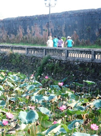 Quyến rũ mùa sen Cố đô  - 2