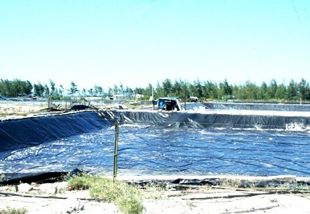 Hàng trăm hồ nuôi tôm “đắp mền” vì... tự gây ô nhiễm - 4