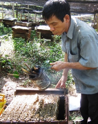 Độc đáo nghề đưa ong đi... tìm mật - 3 Độc đáo nghề đưa ong đi... tìm mật - 3