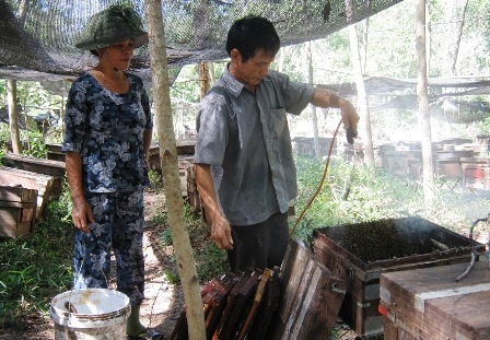 Độc đáo nghề đưa ong đi... tìm mật - 8 Độc đáo nghề đưa ong đi... tìm mật - 8