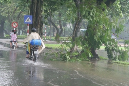 Đường phố Huế ngập trong trận mưa lớn - 2