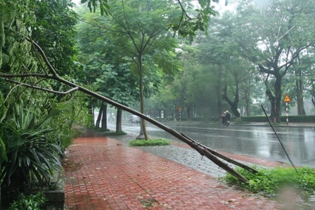 Đường phố Huế ngập trong trận mưa lớn - 3