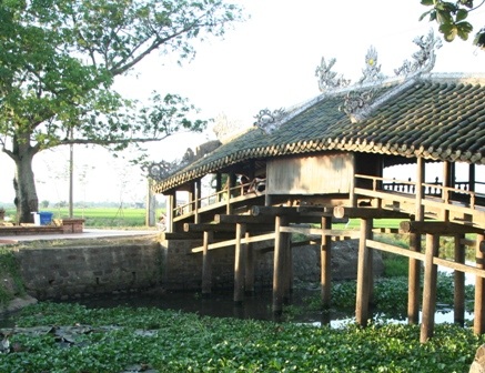 Gặp lại cụ bà 78 tuổi hướng dẫn du lịch bằng tiếng Anh - 4