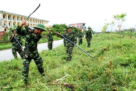 Huế: Lại ra quân tiêu diệt "kẻ xâm lấn" mai dương - 2