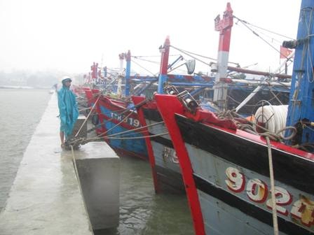 Miền Trung hối hả chạy bão - 35