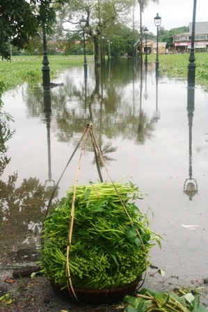 Nhiều tuyến đường trong Thành nội Huế ngập lụt vì mưa lớn - 7