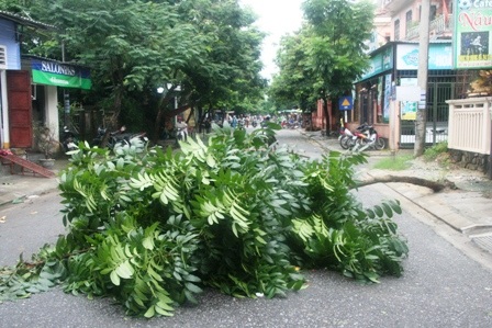 Nhiều tuyến đường trong Thành nội Huế ngập lụt vì mưa lớn - 12