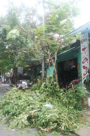 Nhiều tuyến đường trong Thành nội Huế ngập lụt vì mưa lớn - 13