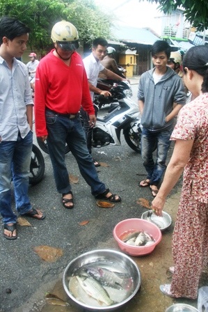 Nhiều tuyến đường trong Thành nội Huế ngập lụt vì mưa lớn - 15