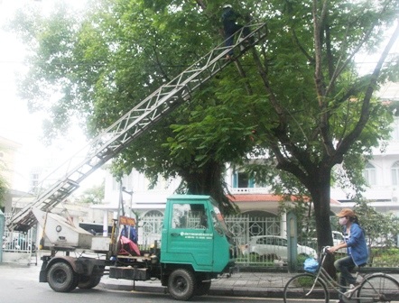 Nhiều tuyến đường trong Thành nội Huế ngập lụt vì mưa lớn - 16