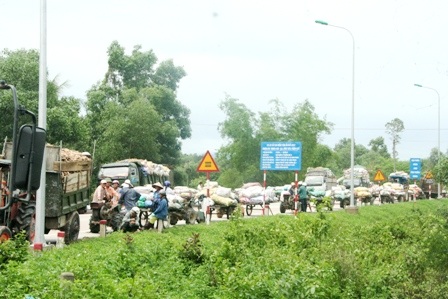 Bán tháo sắn ngập lũ, hàng trăm xe ùn ứ trước nhà máy sắn - 2