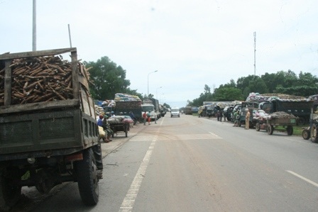 Bán tháo sắn ngập lũ, hàng trăm xe ùn ứ trước nhà máy sắn - 3
