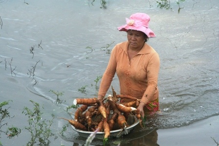 Bán tháo sắn ngập lũ, hàng trăm xe ùn ứ trước nhà máy sắn - 9