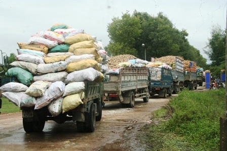 Bán tháo sắn ngập lũ, hàng trăm xe ùn ứ trước nhà máy sắn - 10