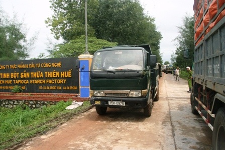 Bán tháo sắn ngập lũ, hàng trăm xe ùn ứ trước nhà máy sắn - 11