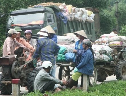 Bán tháo sắn ngập lũ, hàng trăm xe ùn ứ trước nhà máy sắn - 12