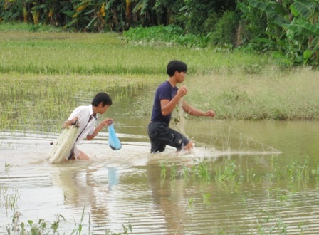 Gánh nặng mưu sinh trên dòng nước lũ - 3