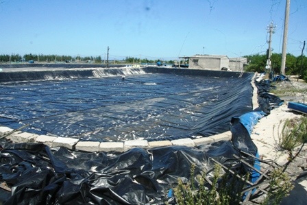 Tỉnh “giải cứu” những hồ nuôi tôm tự gây ô nhiễm - 1