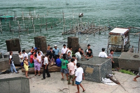 Ngư dân điêu đứng vì hàng trăm tấn cá lăn ra chết - 3