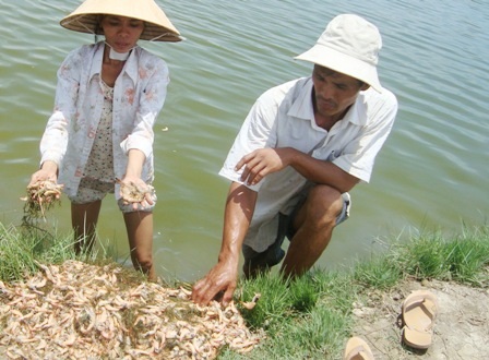 Tòa bác đơn kiện của nông dân vì “không có cơ sở” - 2