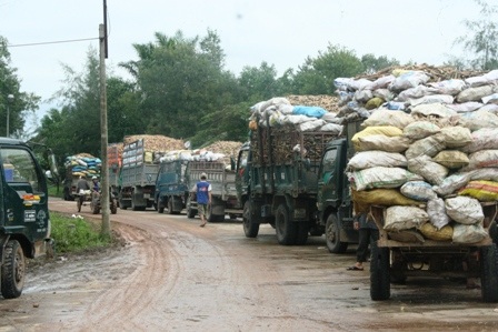 Huế: Giải quyết tình trạng ùn ứ trước nhà máy sắn - 1