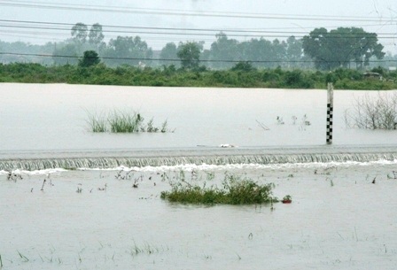 Đường ray chìm nghỉm, hơn 2.000 hành khách mắc kẹt - 6