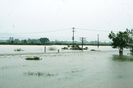 Đường ray chìm nghỉm, hơn 2.000 hành khách mắc kẹt - 9