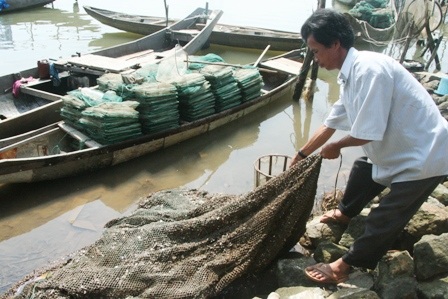 Hàng chục tấn cá chết đột ngột do nước đầm ngọt hóa - 4