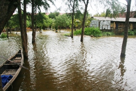 Thừa Thiên - Huế hoãn kỳ thi HS giỏi cấp tỉnh do lũ - 2