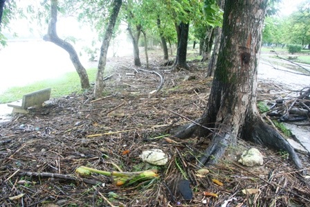 Mưa lũ miền Trung: 24 người chết và mất tích - 4