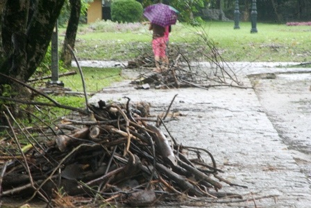 Mưa lũ miền Trung: 24 người chết và mất tích - 11
