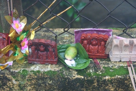 Táo về trời mang theo nhiều “quà cáp” - 10