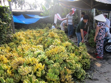 Hàng ngàn người chen chân trong chợ đầu mối lúc 2h sáng - 11