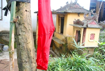 Ngắm vẻ đẹp cây nêu ngày Tết ở làng quê Huế - 14